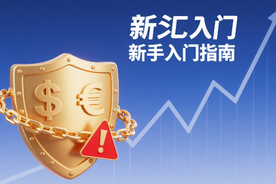 外汇交易入门指南：避开陷阱，稳健入门